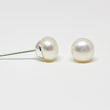 White Pearl Stud Earrings 4-5mm